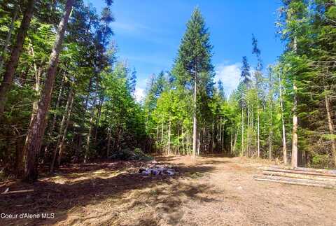 NKA Wandering Wolf Ridge, Lot 3, Clark Fork, ID 83811