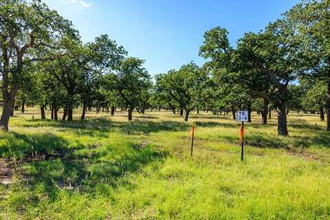 Lot 3 Kopper Kettle Ln, Fredericksburg, TX 78624