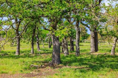 Lot 6 Kopper Kettle Ln, Fredericksburg, TX 78624