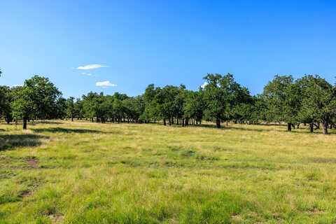 Lot 4 Kopper Kettle Ln, Fredericksburg, TX 78624