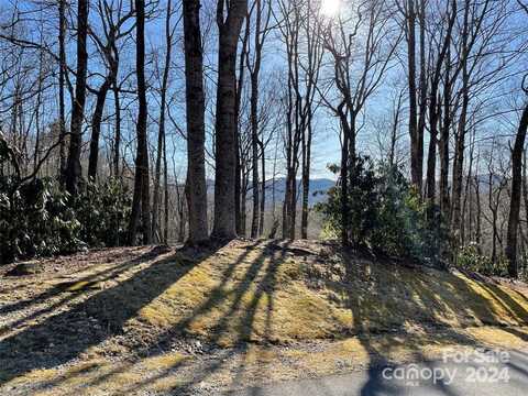 Tbd Tsuganawvi Court, Brevard, NC 28712