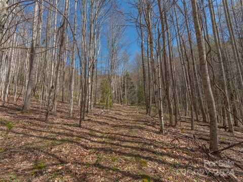 00 Sheepback Mountain Road, Maggie Valley, NC 28751