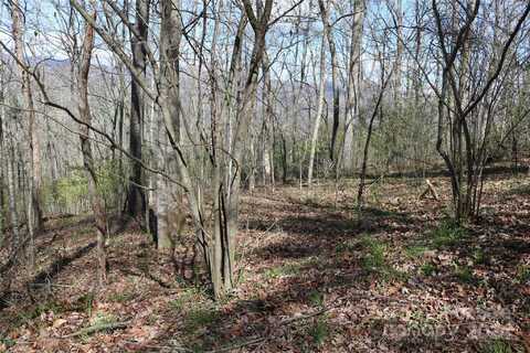 Tbd Butternut Trail, Waynesville, NC 28785