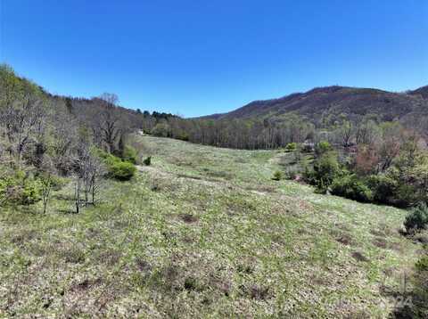 796 Upper Glady Fork Road, Candler, NC 28715