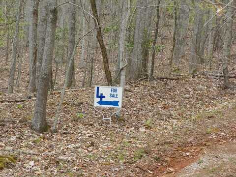 Lot 4 Coon Creek Franklin, NC 28734, Franklin, NC 28734