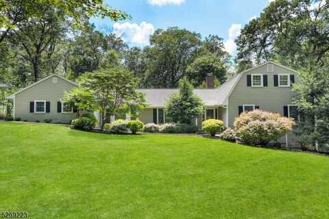 80 CARRAR DRIVE, Watchung, NJ 07069