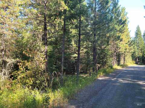 Tbd Lacey Meadows Road, Weippe, ID 83553