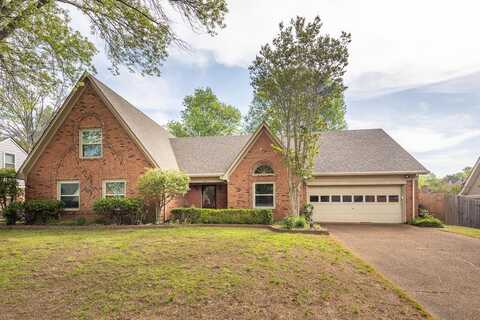 810 CEDAR BRAKE, Memphis, TN 38018