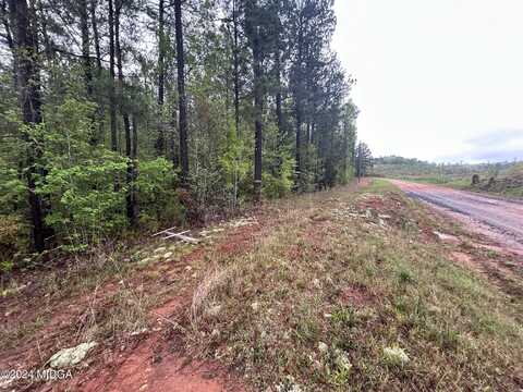 Lot 3 Blue Ridge School Road, Forsyth, GA 31029