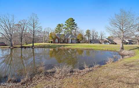 1264 Olivia Lane, Terry, MS 39170