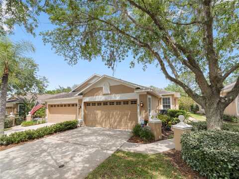 19111 LAKE AUDUBON DRIVE, TAMPA, FL 33647