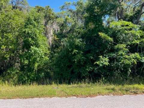 0 SW 176TH LOOP, OCALA, FL 34473