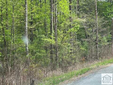 lot 28 Pine Knoll Farms Loop, Stuart, VA 24171