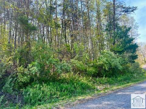 lot 39 Pine Knoll Farms Loop, Stuart, VA 24171