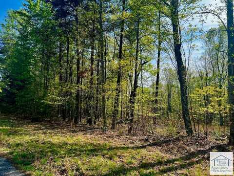 lot 34 Pine Knoll Farms Loop, Stuart, VA 24171