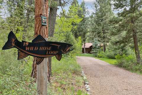 19 Wild Rose Loop, Philipsburg, MT 59858