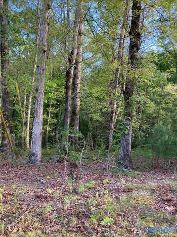 Lot 1 Louise Avenue, Southside, AL 35907