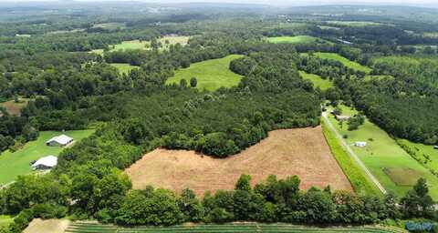 10.55 Acres County Road 858, Fort Payne, AL 35967