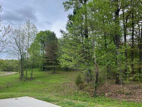 Lot 45 Rosemont Loop, Oxford, MS 38655