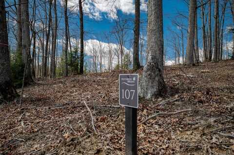 Lot 107 Whitewater Preserve Parkway, Bruceton Mills, WV 26525