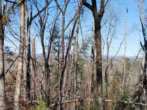 Lot 928 Myna Drive, Ellijay, GA 30540