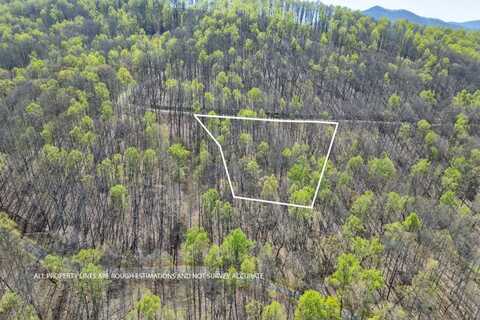 Lot 88 Rocky Knob Estates, Young Harris, GA 30582