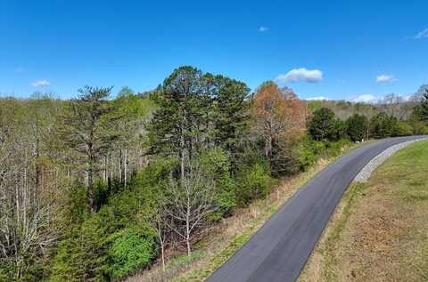 Lot 44 Owen Vista, Blairsville, GA 30512