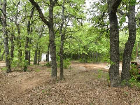 Tbd Catholic Cemetery Rd., Montague, TX 76251