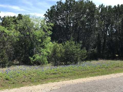 18001 Southhill Drive, Whitney, TX 76692