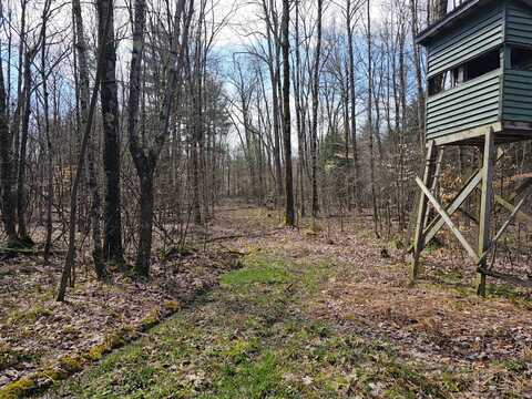 0WP County Road 32, Greene, NY 13778