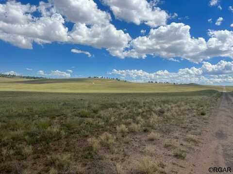 4153 Comanche Trail, Hartsel, CO 80449