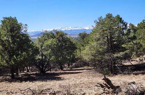 Tbd L Path, Cotopaxi, CO 81223