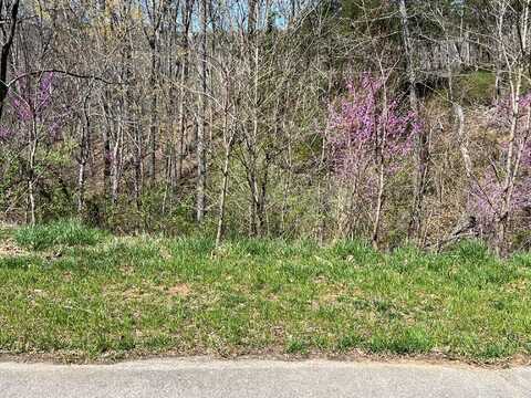 Lot 44 Lakewatch CIR, Moneta, VA 24121