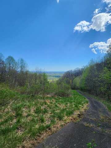 Tbd Spring Valley Rd, Fancy Gap, VA 24328