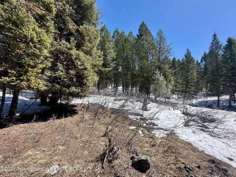 Lot 22 CEDAR DR, Star Valley Ranch, WY 83127