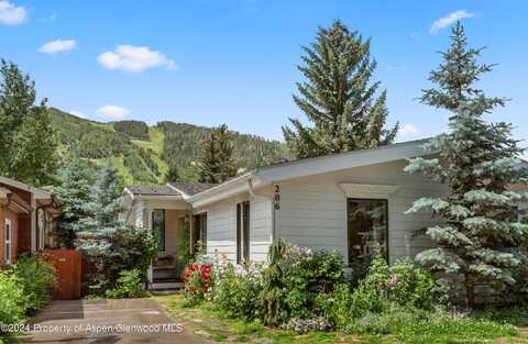 206 Cottonwood Lane, Aspen, CO 81611