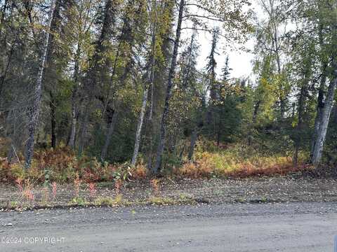 36026 Birch, Soldotna, AK 99669