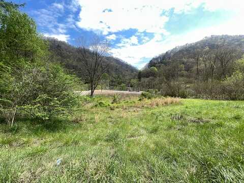 00 Levisa Road, Mouthcard, KY 41548
