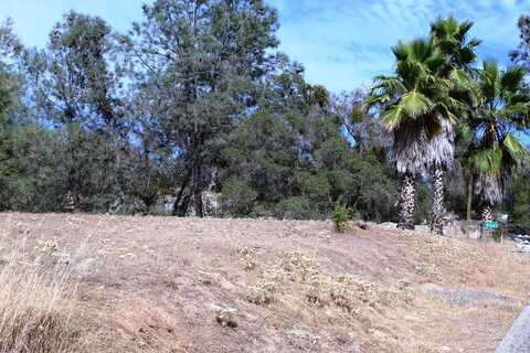 0 Long Hollow Drive, Coarsegold, CA 93614