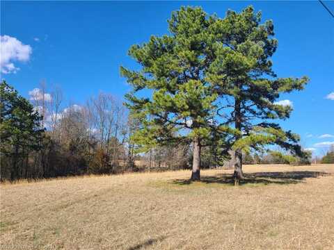 TBD N Hwy 215, Mountainburg, AR 72946