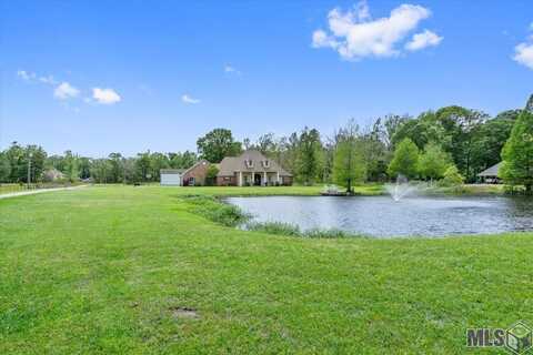 10682 SIMS RD, Denham Springs, LA 70706