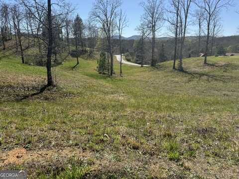 0 Lola Drive, Blairsville, GA 30512