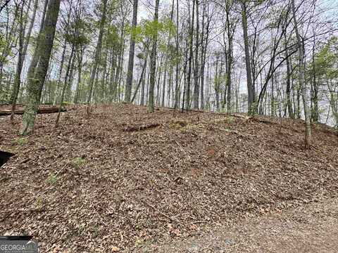 LOT 265 Catawba Circle, Ellijay, GA 30540