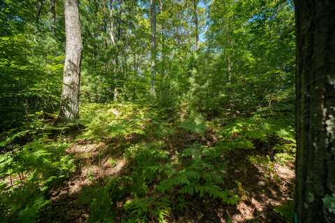 Emerald Ridge, Onekama, MI 49675