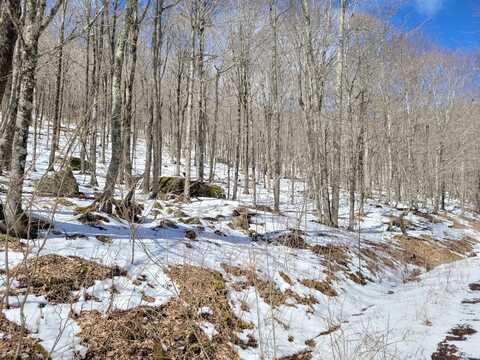 Lots 21 Eagles Nest, Snowshoe, WV 26209