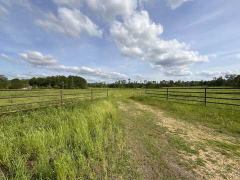 38.6 Acres Fire Tower Rd., Columbia, MS 39429