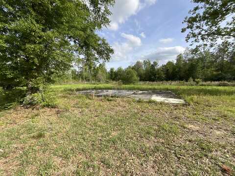 12.7 Acres Fire Tower Rd., Columbia, MS 39429