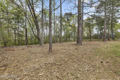 117 Kings Harbor Drive, Holly Ridge, NC 28445