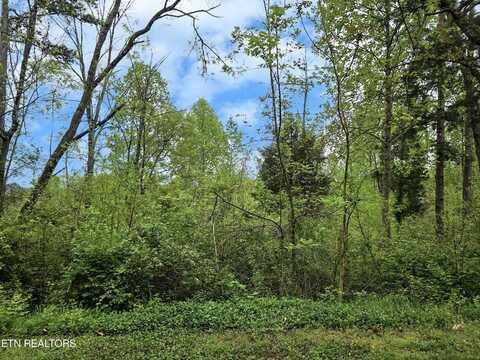 Monticello Drive, Seymour, TN 37865