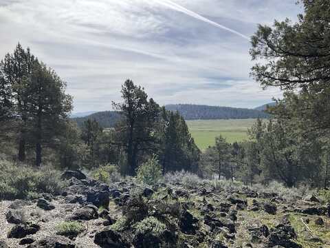 Lot 1210 Fox Sparrow Drive, Klamath Falls, OR 97601